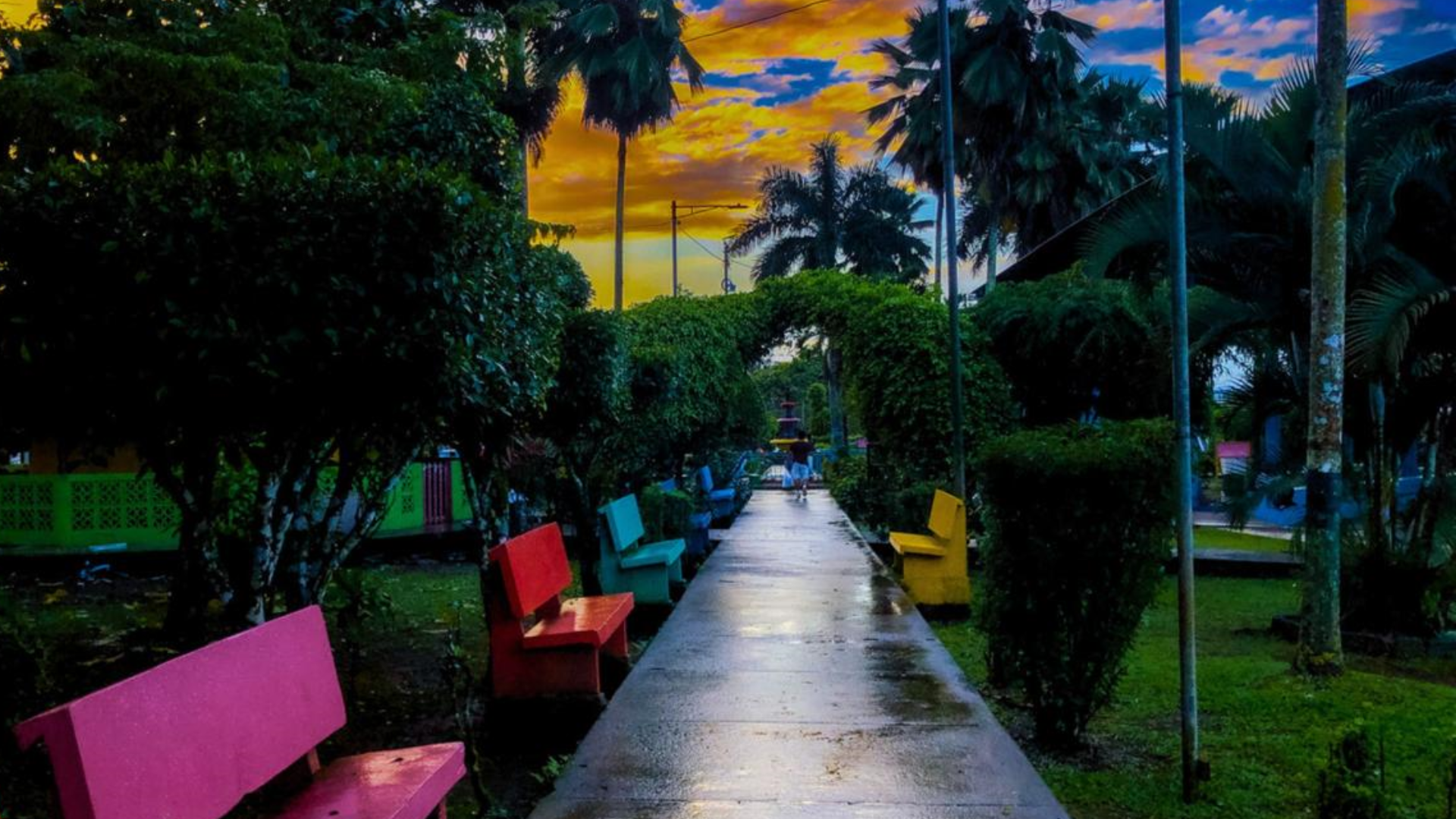 Visión Nueva Guinea